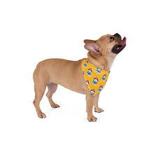 Load image into Gallery viewer, Bitchin’ Stitchin’ Pet Bandana